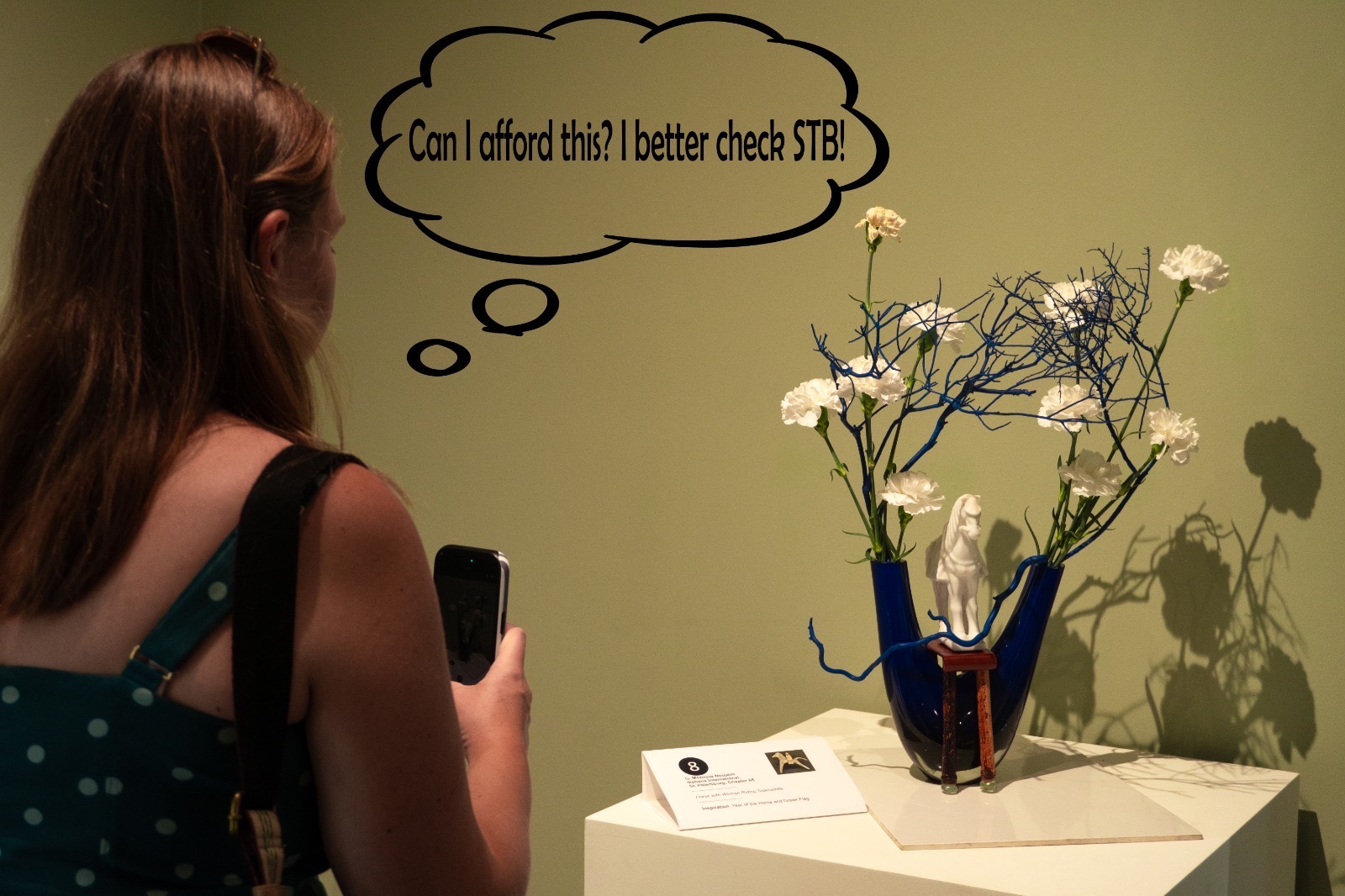 Pausing to ask 'Can I afford this?' before the swipe — captioned 'I better check STB!'
